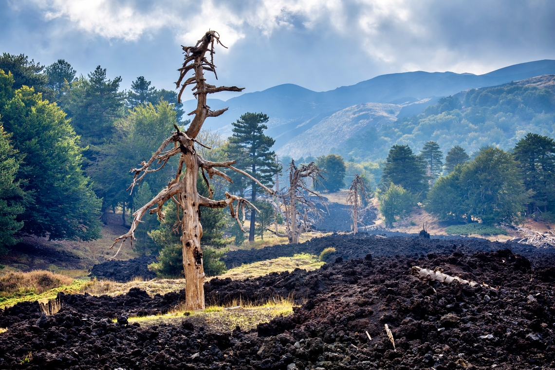 Piano Provenzana Etna Nord. Résultat de l'éruption 2022/2003