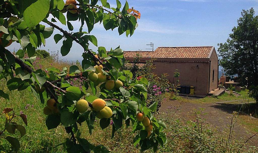 Agritourisme Sicile - Tourisme rural à la ferme biologique Bagolaro