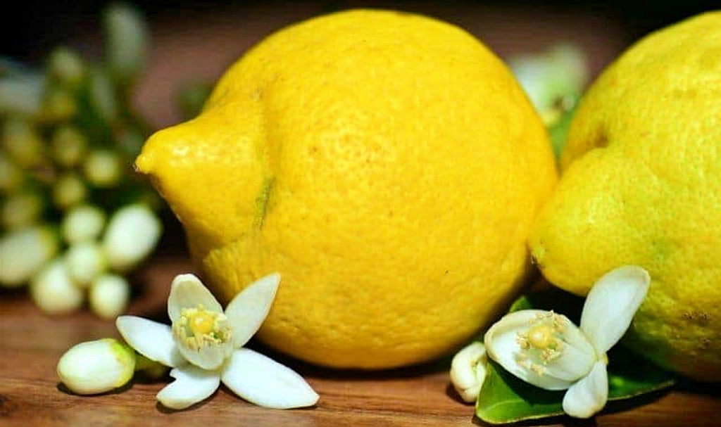 Citron Interdonato de Messine en Sicile