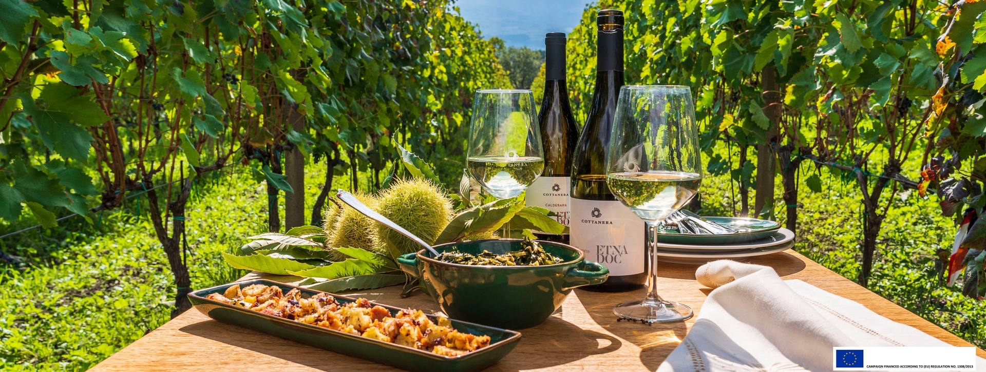 Dégustation des vins de l’Etna