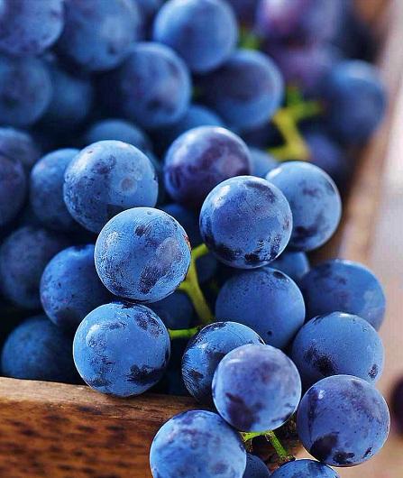 Dégustation des vins de l’Etna