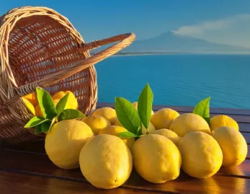 Citrons-Sicile-Etna