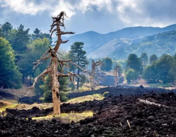 Piano Provenzana Linguaglossa