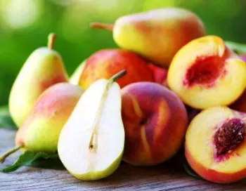 Gastronomie Sicilienne 