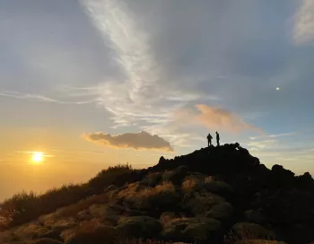 Paysage de l'Etna sous la neige contrastant avec les coulées de lave noire de l'éruption de janvier 2026