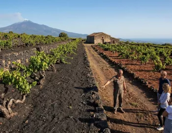Un guide explique le terroir volcanique à un groupe de visiteurs dans un vignoble sur les pentes de l'Etna, illustrant le contraste entre les sols de lave noire et de terre rouge, avec le volcan fumant en arrière-plan