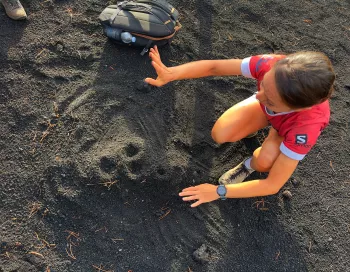Cratères sommitaux de l'Etna actifs : vue panoramique du volcan en Sicile