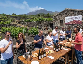 degustation des vins de l'etna